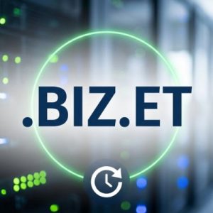 How to Renew a .BIZ.ET Domain with Zero Downtime