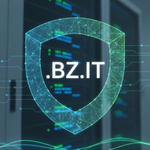 How to Renew a .BZ.IT Domain with Zero Downtime