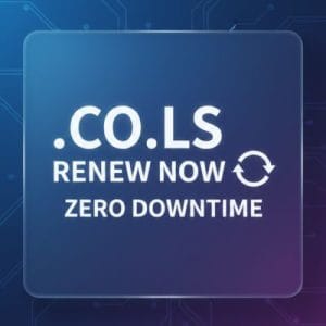 How to Renew a .CO.LS Domain with Zero Downtime