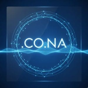 How to Renew a .CO.NA Domain with Zero Downtime