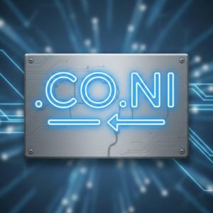 How to Renew a .CO.NI Domain with Zero Downtime