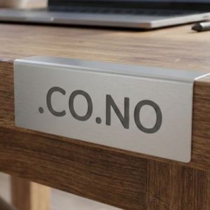 How to Renew a .CO.NO Domain with Zero Downtime
