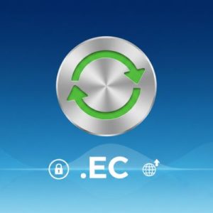 How to Renew a .EC Domain with Zero Downtime