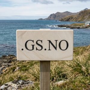 How to Renew a .GS.NO Domain with Zero Downtime