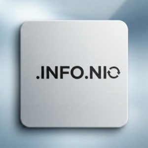 How to Renew a .INFO.NI Domain with Zero Downtime