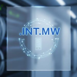 How to Renew a .INT.MW Domain with Zero Downtime
