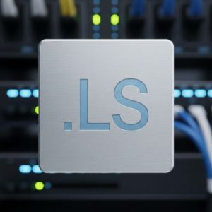 How to Renew a .LS Domain with Zero Downtime