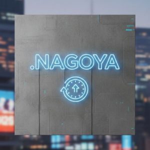 How to Renew a .NAGOYA Domain with Zero Downtime