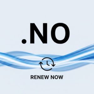 How to Renew a .NO Domain with Zero Downtime