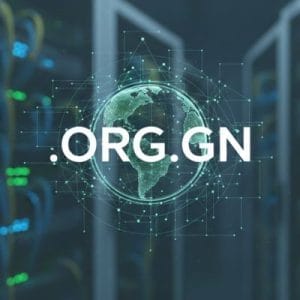 How to Renew a .ORG.GN Domain with Zero Downtime