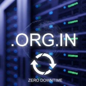How to Renew a .ORG.IN Domain with Zero Downtime