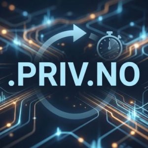 How to Renew a .PRIV.NO Domain with Zero Downtime