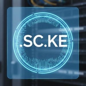 How to Renew a .SC.KE Domain with Zero Downtime