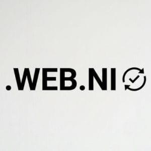 How to Renew a .WEB.NI Domain with Zero Downtime
