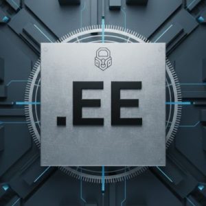 How to Set Up Hosting for Your .EE Domain