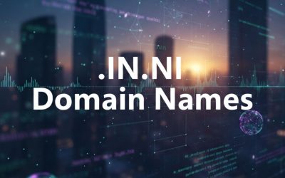 .IN.NI Domain Names