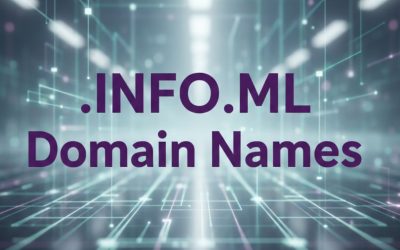 .INFO.ML Domain Names