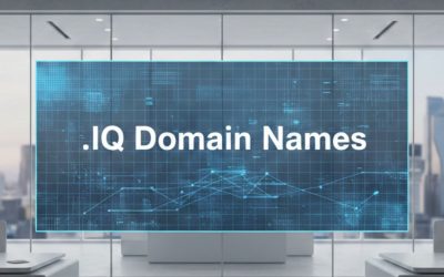 .IQ Domain Names