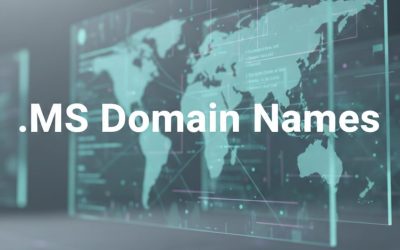 .MS Domain Names