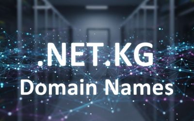 .NET.KG Domain Names