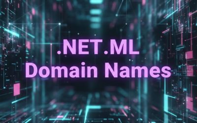 .NET.ML Domain Names