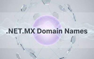 .NET.MX Domain Names