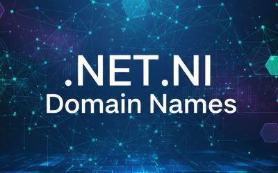 .NET.NI Domain Names