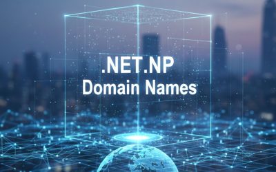 .NET.NP Domain Names