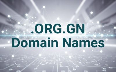 .ORG.GN Domain Names