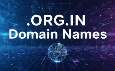 .ORG.IN Domain Names