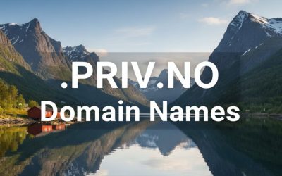 .PRIV.NO Domain Names
