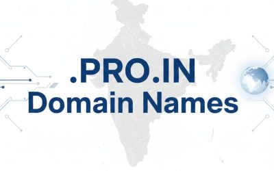 .PRO.IN Domain Names