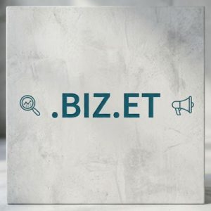 SEO and Marketing Advantages of .BIZ.ET Domains