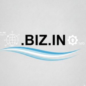 SEO and Marketing Advantages of .BIZ.IN Domain