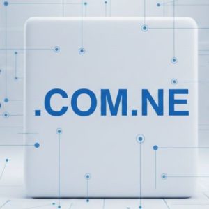 SEO and Marketing Advantages of .COM.NE Domains