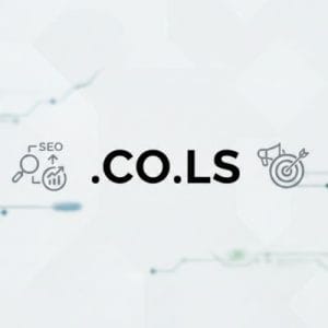 SEO and Marketing Advantages of .CO.LS Domain