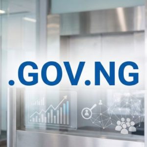 SEO and Marketing Advantages of .GOV.NG Domains
