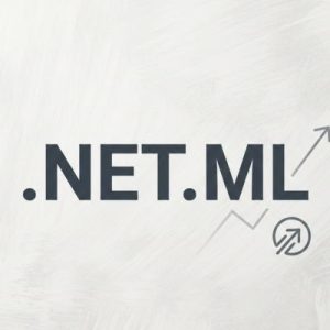 SEO and Marketing Advantages of .NET.ML Domains