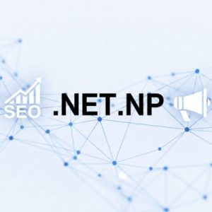 SEO and Marketing Advantages of .NET.NP Domains