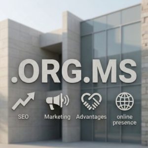 SEO and Marketing Advantages of .ORG.MS Domains