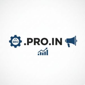 SEO and Marketing Advantages of .PRO.IN Domain