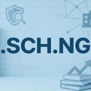 SEO and Marketing Advantages of .SCH.NG Domains