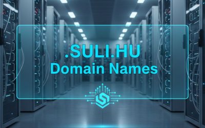.SULI.HU Domain Names