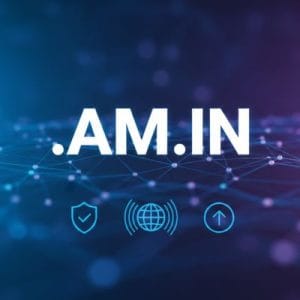 What is a .AM.IN Domain