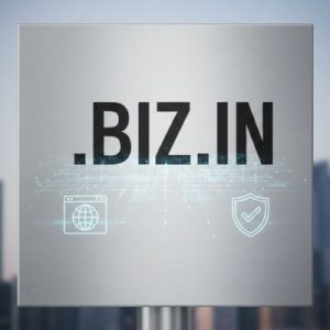 What is a .BIZ.IN Domain