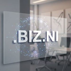 What is a .BIZ.NI Domain