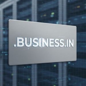 What is a .BUSINESS.IN Domain?
