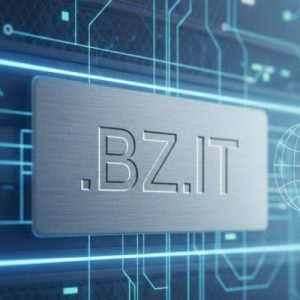 What is a .BZ.IT Domain?