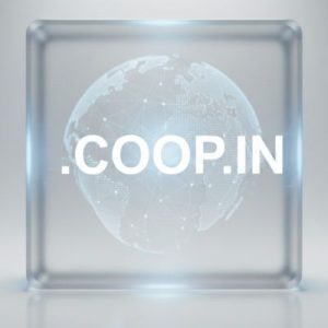 What is a .COOP.IN Domain