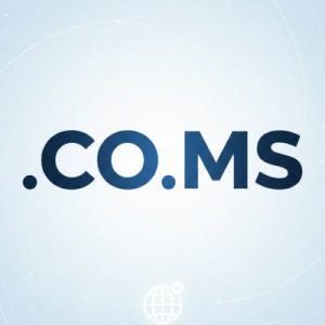 What is a .CO.MS Domain